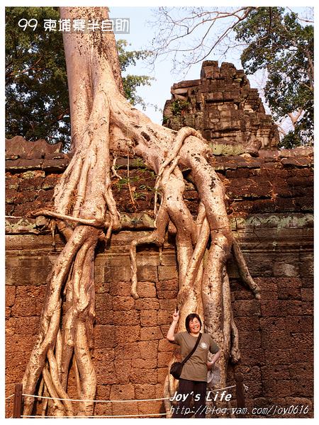 【Angkor】Ta Prohm 塔普倫寺 - nurseilife.cc