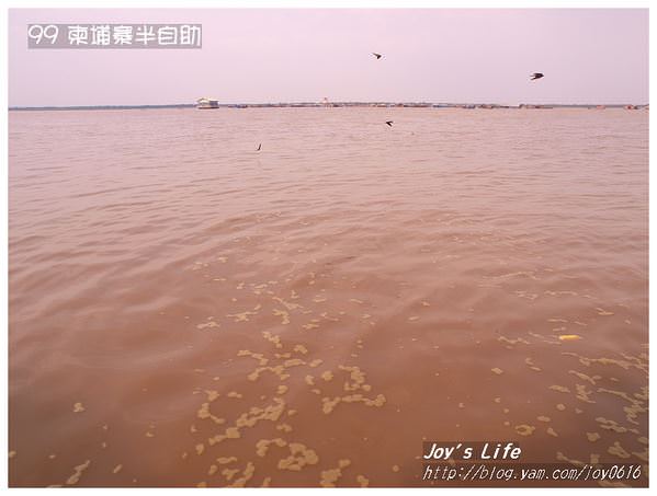 【柬埔寨】Tonle Sap 洞里薩湖 - nurseilife.cc