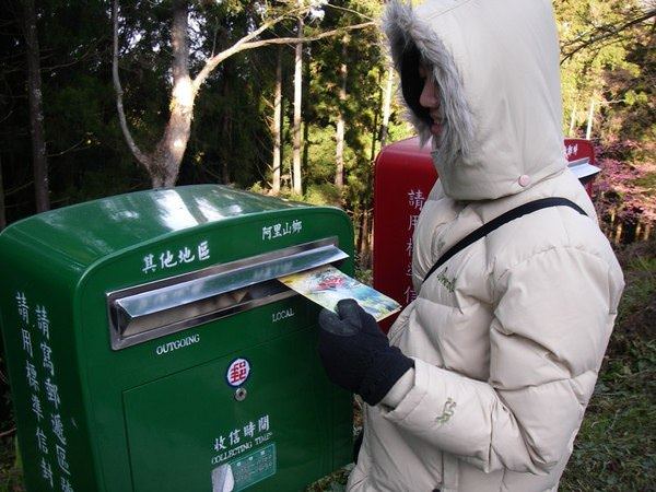 阿里山森林遊樂區--賞櫻散步去~ - nurseilife.cc