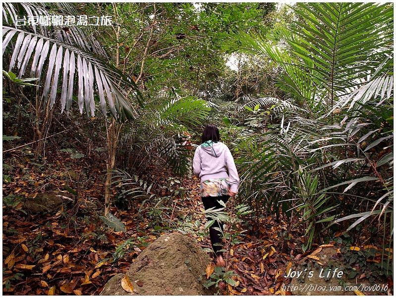 【台東鹿野】森林博物館-會走路的樹 - nurseilife.cc