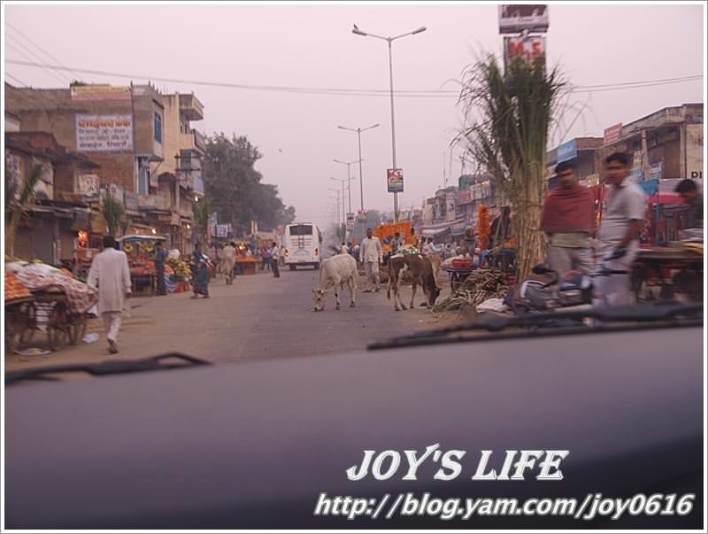 【印度】超級體驗!!Jaipur→Sanjay's Home，來去印度人家做客~ - nurseilife.cc