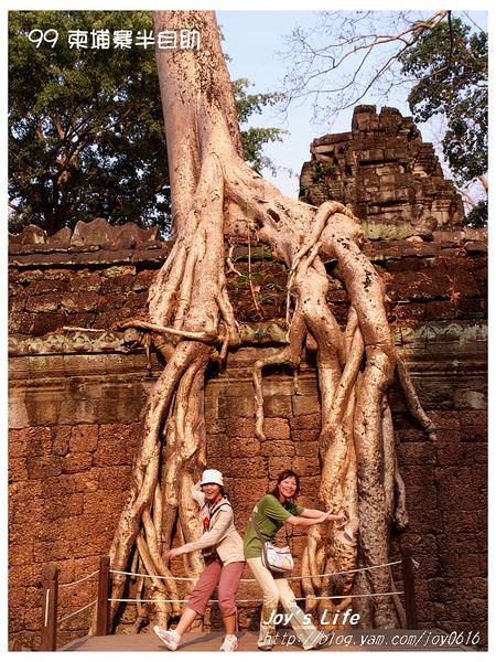 【Angkor】Ta Prohm 塔普倫寺 - nurseilife.cc