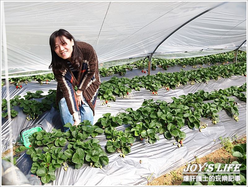 【苗栗 大湖】湖丘有機草莓園 有緣才吃得到的無毒草莓 - nurseilife.cc