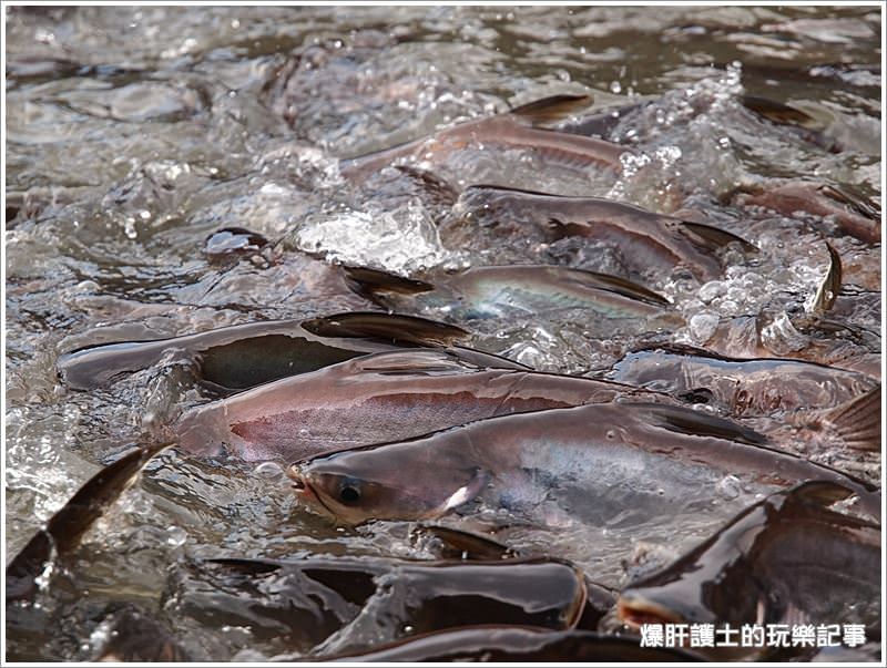 【曼谷自助】逛市集、吃海鮮、遊船餵魚好恐怖 大林江水上市場Taling Chan Floating Market - nurseilife.cc