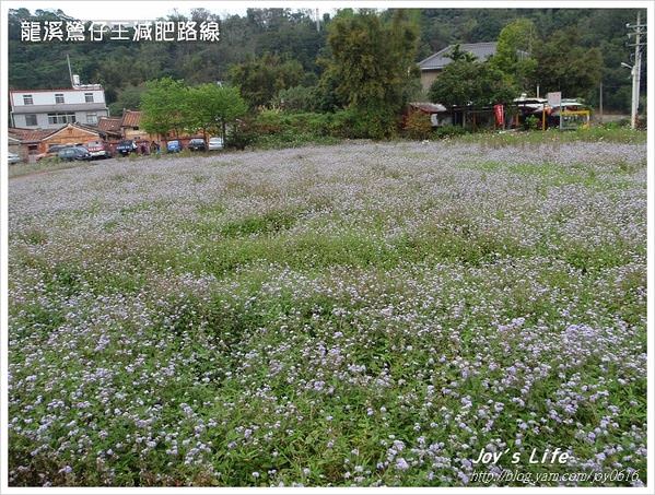 龍溪鶯仔王│龍潭鶯歌自行車路線 - nurseilife.cc