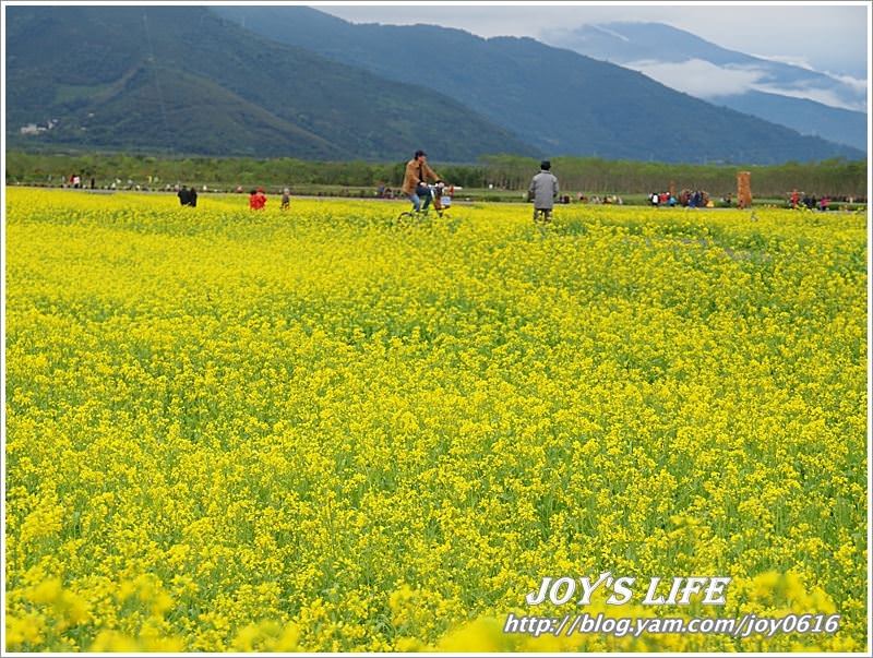 【花蓮光復】大農大富平地森林園區 - nurseilife.cc