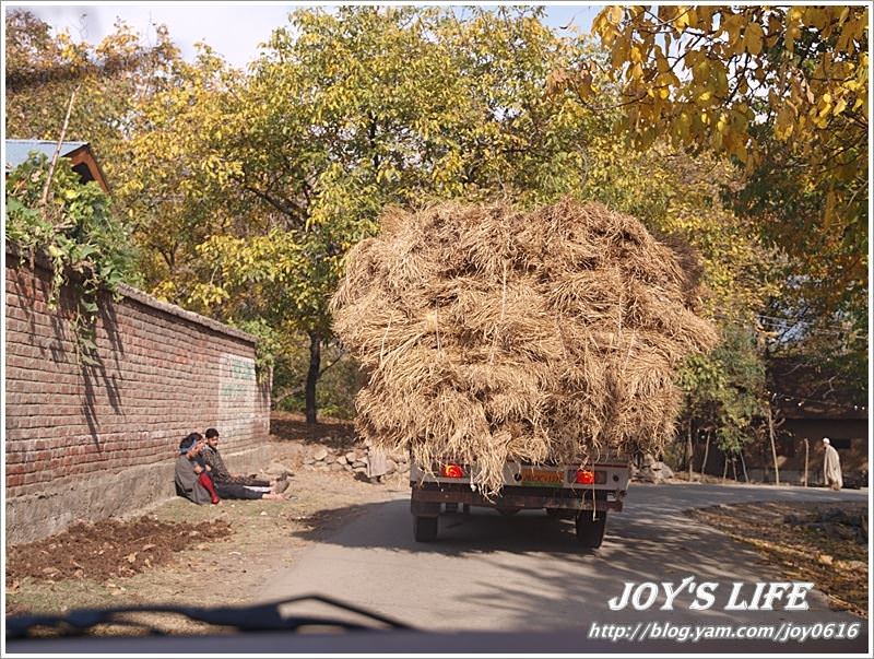 【印度】前往渡假勝地Pahalgam,途經番紅花產地喝番紅花茶~ - nurseilife.cc