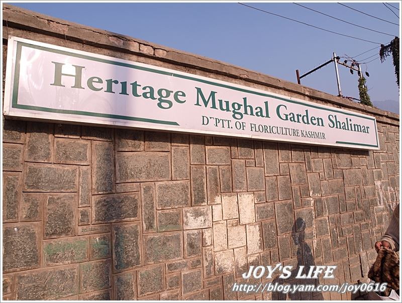 【印度】Heritage Mughal Garden Shalimar - nurseilife.cc