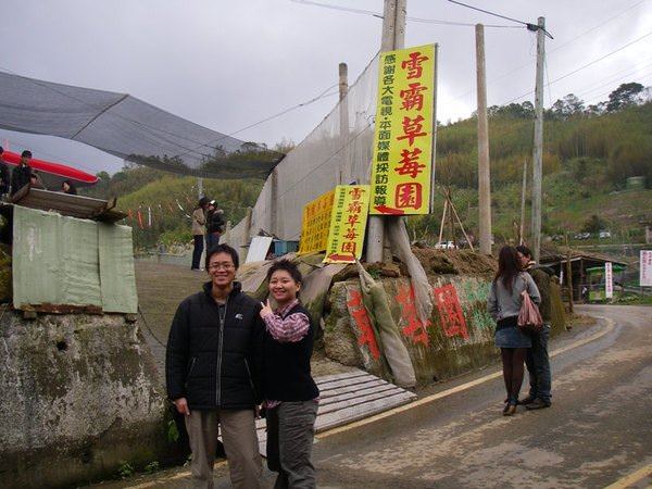 雪霸草莓園--上山採草莓 - nurseilife.cc