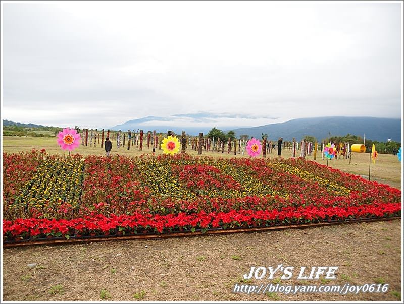 【花蓮光復】大農大富平地森林園區 - nurseilife.cc