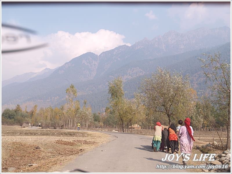 【印度】前往渡假勝地Pahalgam,途經番紅花產地喝番紅花茶~ - nurseilife.cc