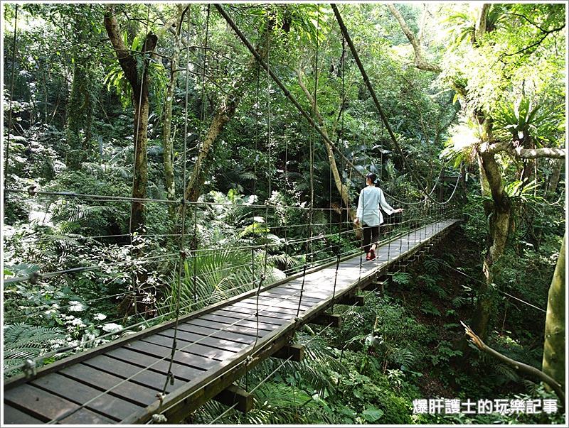 【新北住宿】空氣中滿滿的芬多精 一秒到雨林的住宿@大板根森林溫泉渡假村 - nurseilife.cc