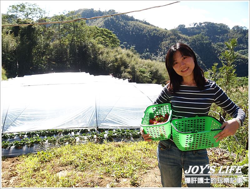 【苗栗 大湖】湖丘有機草莓園 有緣才吃得到的無毒草莓 - nurseilife.cc