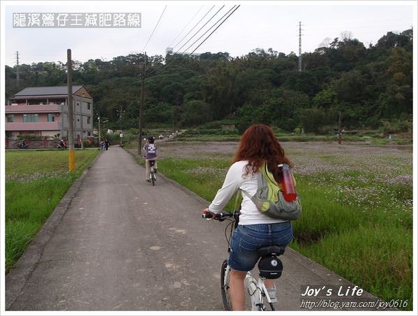 龍溪鶯仔王│龍潭鶯歌自行車路線 - nurseilife.cc