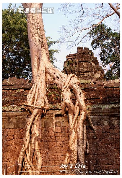 【Angkor】Ta Prohm 塔普倫寺 - nurseilife.cc