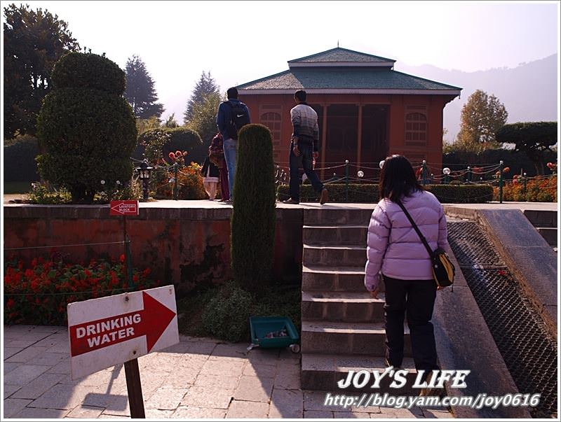 【印度】Mughal Garden Cheshmashahie - nurseilife.cc