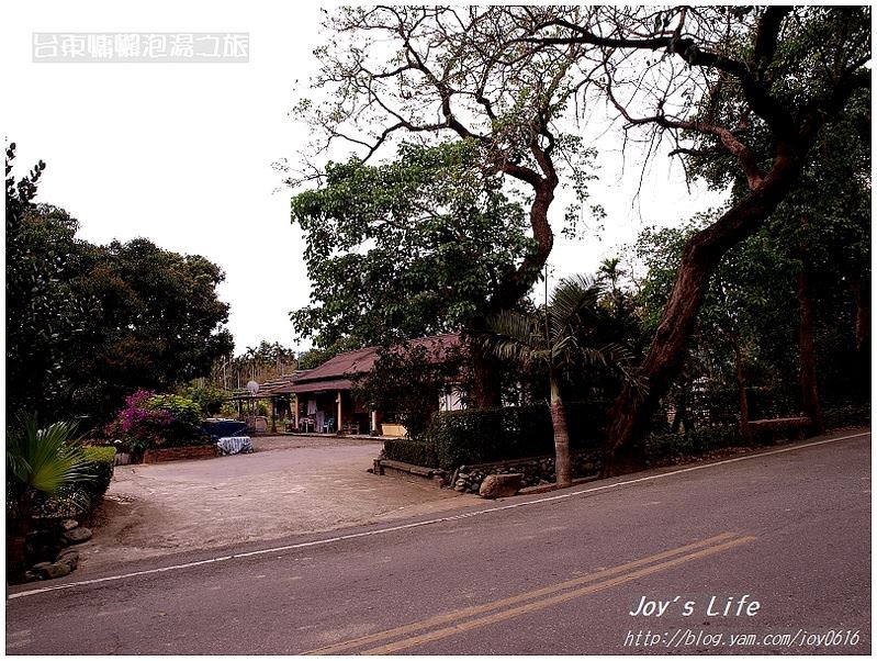 【台東鹿野】永昌綠色隧道 - nurseilife.cc