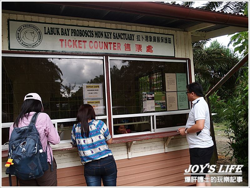 【沙巴山打根】別處看不到，錯過可惜!!拉卜灣長鼻猴保育區Labuk Bay - nurseilife.cc