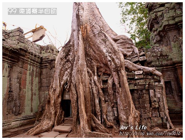 【Angkor】Ta Prohm 塔普倫寺 - nurseilife.cc