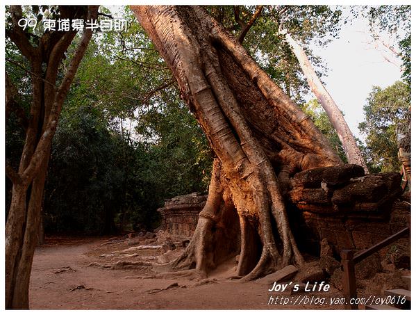 【Angkor】Ta Prohm 塔普倫寺 - nurseilife.cc