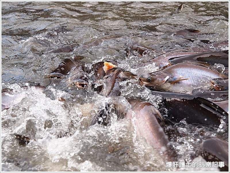 【曼谷自助】逛市集、吃海鮮、遊船餵魚好恐怖 大林江水上市場Taling Chan Floating Market - nurseilife.cc