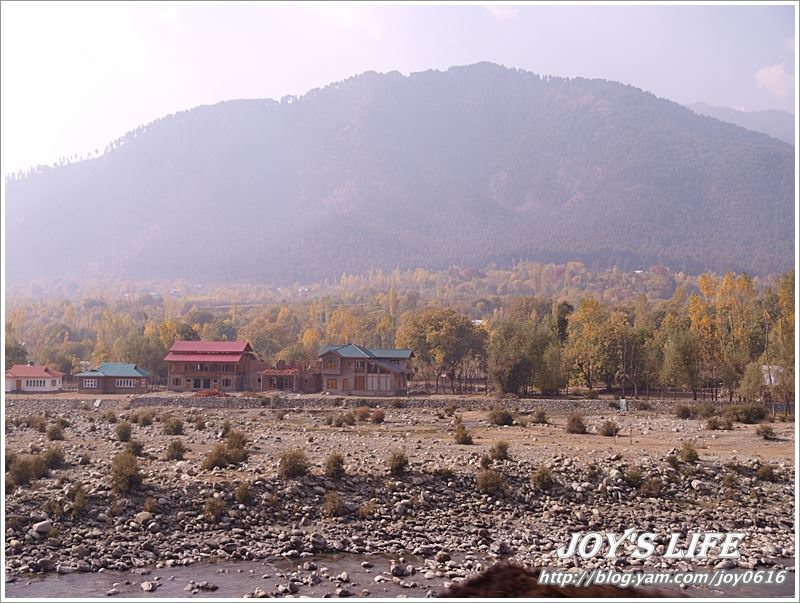 【印度】前往渡假勝地Pahalgam,途經番紅花產地喝番紅花茶~ - nurseilife.cc