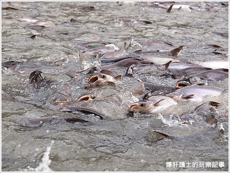 【曼谷自助】逛市集、吃海鮮、遊船餵魚好恐怖 大林江水上市場Taling Chan Floating Market - nurseilife.cc