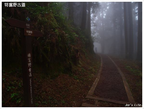 【嘉義阿里山】迷霧‧特富野古道 - nurseilife.cc