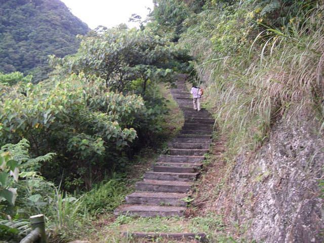 貂山古道+大粗坑步道--尋找一段淒美的傳說~ - nurseilife.cc