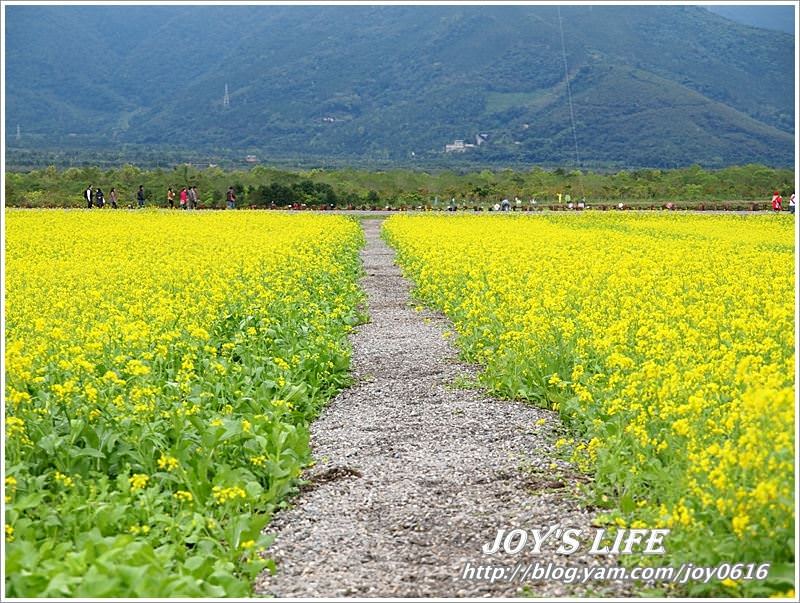 【花蓮光復】大農大富平地森林園區 - nurseilife.cc