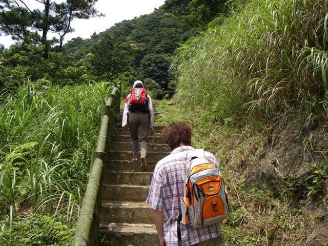 貂山古道+大粗坑步道--尋找一段淒美的傳說~ - nurseilife.cc