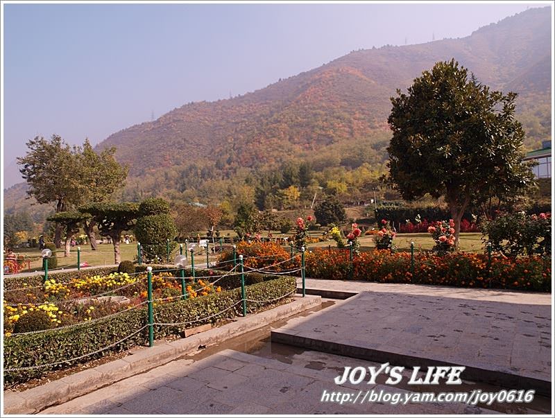 【印度】Mughal Garden Cheshmashahie - nurseilife.cc