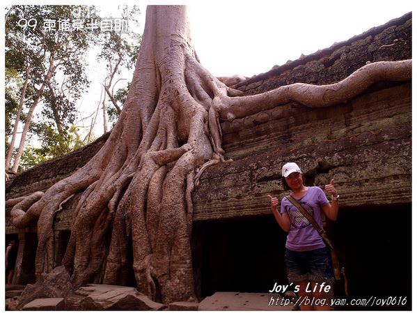 【Angkor】Ta Prohm 塔普倫寺 - nurseilife.cc