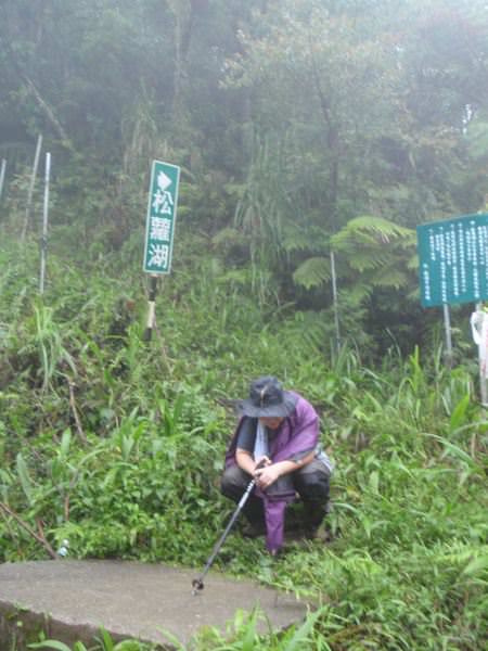 扼脕松羅湖--好恐怖的下山阿... - nurseilife.cc