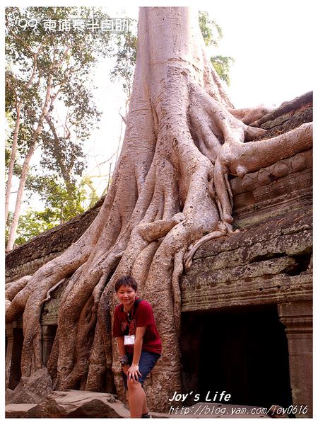 【Angkor】Ta Prohm 塔普倫寺 - nurseilife.cc