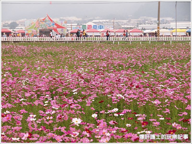 2013新社花海節-人不比花嬌，公德心才是王道! - nurseilife.cc