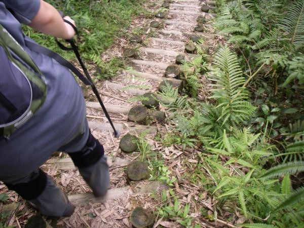 巴福越嶺--原住民娶親之路 - nurseilife.cc