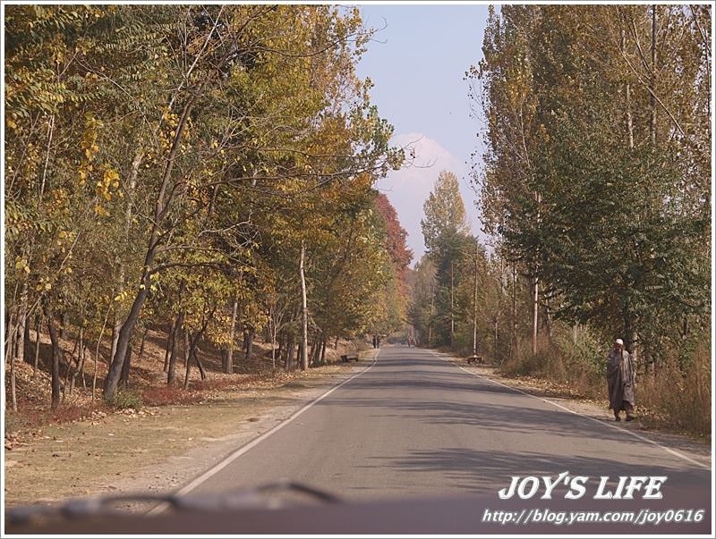 【印度】前往渡假勝地Pahalgam,途經番紅花產地喝番紅花茶~ - nurseilife.cc