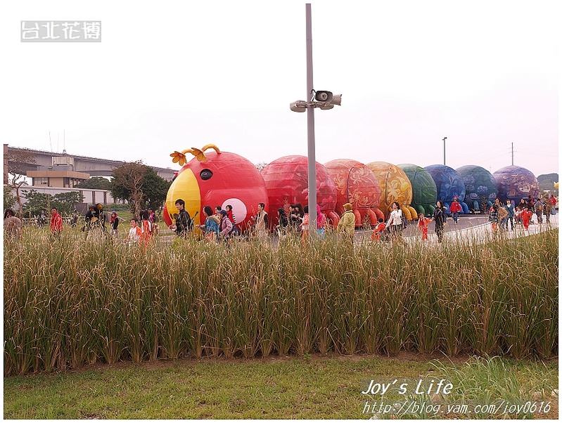 【台北】花博蔬果饗宴&花圃競賽區 - nurseilife.cc