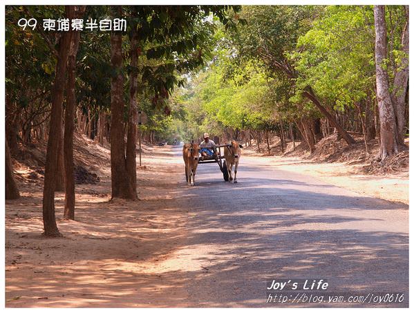 【Angkor】Ta Som 達松將軍廟 - nurseilife.cc