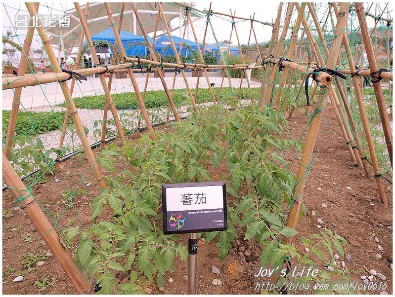 【台北】花博蔬果饗宴&花圃競賽區 - nurseilife.cc