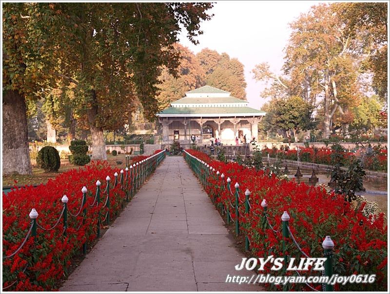 【印度】Heritage Mughal Garden Shalimar - nurseilife.cc