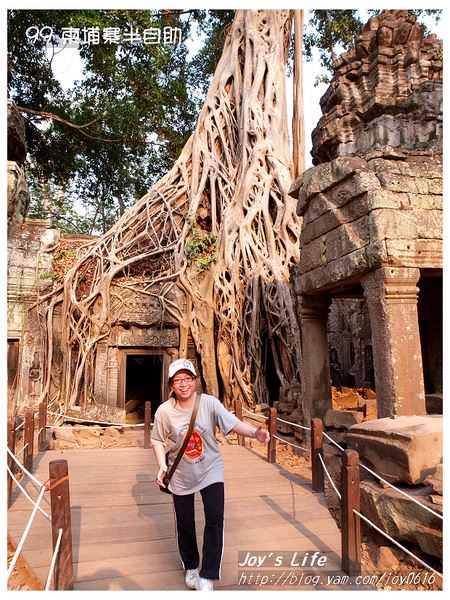 【Angkor】Ta Prohm 塔普倫寺 - nurseilife.cc