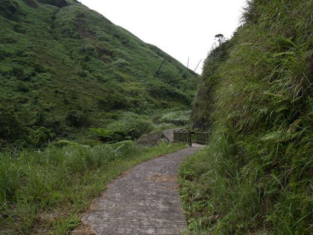 貂山古道+大粗坑步道--尋找一段淒美的傳說~ - nurseilife.cc