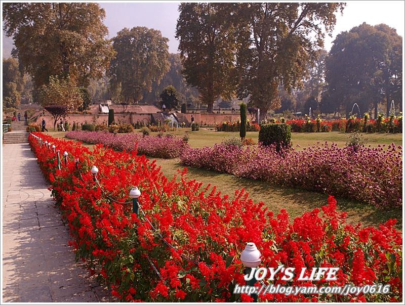 【印度】Mughal Garden Nishat 最有名的花園 - nurseilife.cc