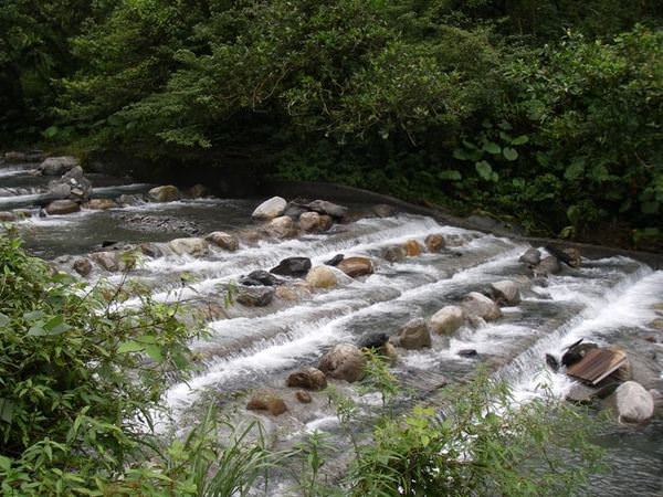 【宜蘭】仁山植物園+新寮瀑布之旅~ - nurseilife.cc