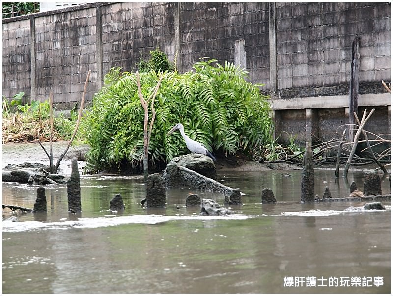 【曼谷自助】逛市集、吃海鮮、遊船餵魚好恐怖 大林江水上市場Taling Chan Floating Market - nurseilife.cc