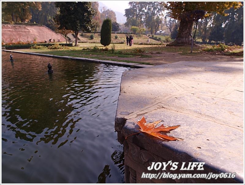 【印度】Mughal Garden Nishat 最有名的花園 - nurseilife.cc