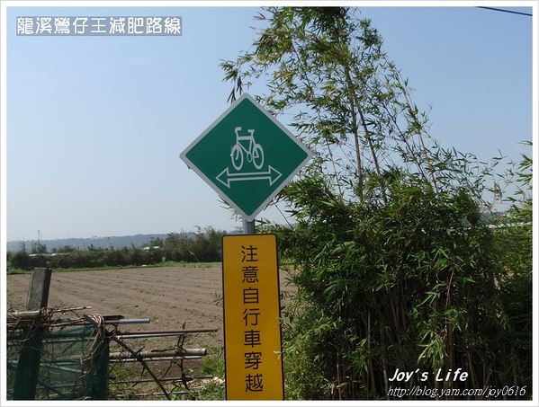 龍溪鶯仔王│龍潭鶯歌自行車路線 - nurseilife.cc