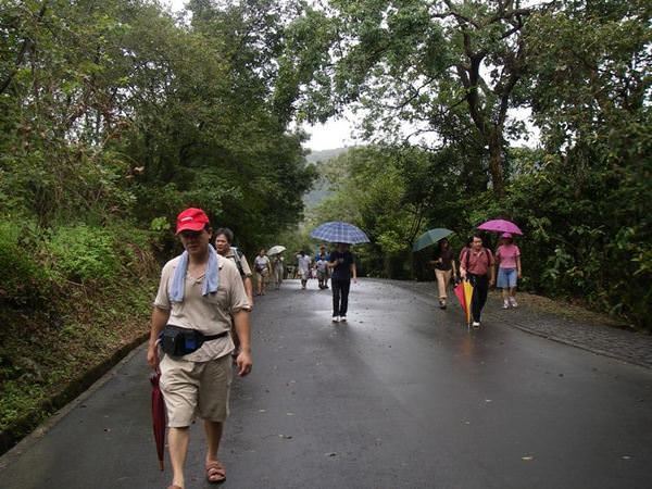 【宜蘭】仁山植物園+新寮瀑布之旅~ - nurseilife.cc